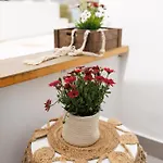 Lejlighed Eos Small House