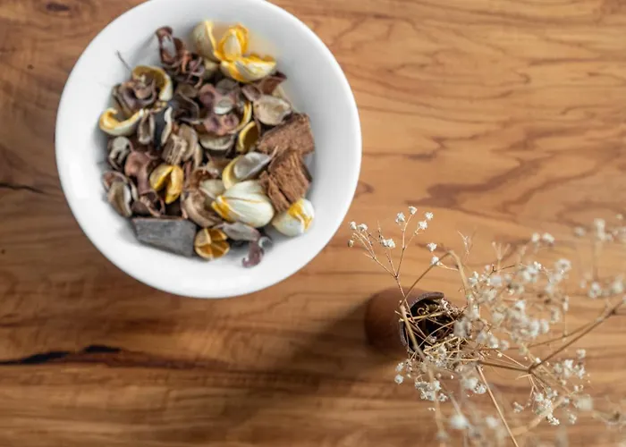 Lejlighed Eos Pollonia