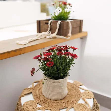 Apartamento Eos Small House